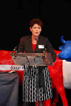 Sieta van Keimpema, Vice-President